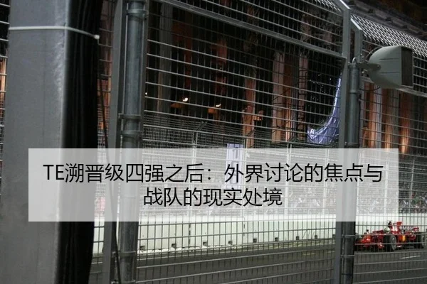 TE溯晋级四强之后：外界讨论的焦点与战队的现实处境