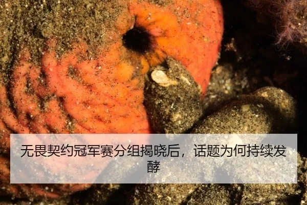 无畏契约冠军赛分组揭晓后，话题为何持续发酵
